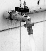 A. E. P. : Grâce à l'embellie hydrique, Oran sera desservie quotidiennement