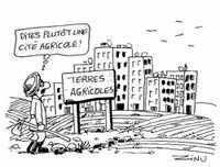 Secteur de l' habitat à Tipaza : 170 sites pour ériger des logements ruraux