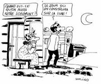 Khemis Miliana (Aïn Defla) : Quand le logement va mal'