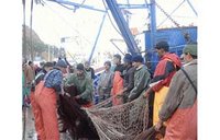 Patrons pêcheurs, mareyeurs et poissonniers se rejettent la responsabilité