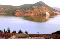 La carpe se fait rare au niveau des barrages