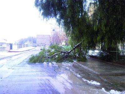 La neige bloque les partis politiques De nombreux meetings annulés à travers le pays