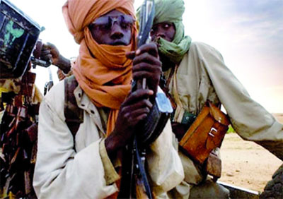 Le gouvernement et l'Alliance démocratique du 23 Mai appellent à l'arrêt des hostilités