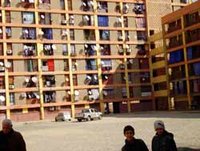 Cité Saïfi Brahim (ex-cité des Orangers) : Détérioration du cadre de vie