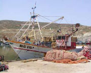 Aïn Témouchent / Repos biologique des poissons
 51 infractions en 2011