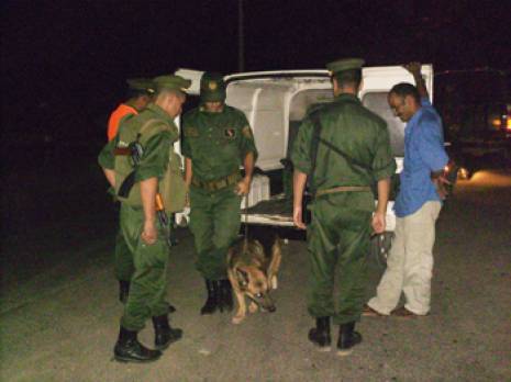 La gendarmerie dissèque la délinquance à Tiaret : Les chômeurs au «hit parade» Tiaret : les autres articles