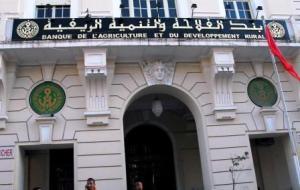 تمويل أكثر من 270 ملف من قبل بنك الفلاحة والتنمية الريفية بأدرار