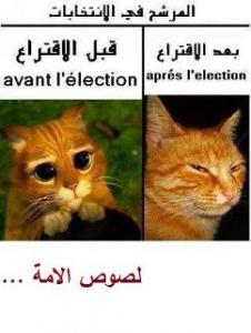 La prochaine élection législative ne peut pas être libre, le trucage a commencé