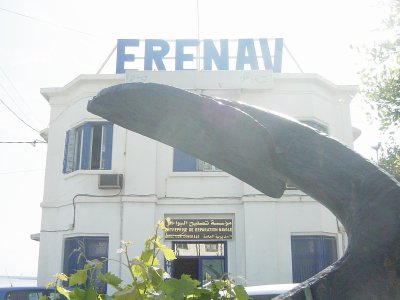 L'Erenav va se lancer dans la construction navale A la faveur d'un plan de développement