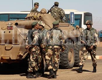 Une semaine de ratissage à Thamelahth BOUIRA