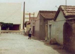 مصالح أملاك الدولة تسلم 2429 عقد امتياز للفلاحين بسيدي بلعباس تحتل الولاية المرتبة الأولى وطنيا