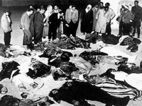 Les évènements de Sakiet Sidi Youcef ont cimenté la solidarité algéro-tunisienne