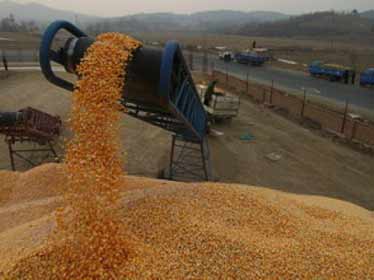 Maghreb/Europe : Des recommandations pour la sécurité alimentaire des 5+5