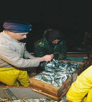 Les vraies raisons de la crise