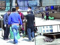 Ensemble pour un meilleur cadre de vie L'APC de Sidi M'Hamed et l'association Quartier vert