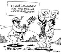 Agriculture dans la wilaya de Aïn Defla : Un secteur à assainir