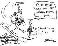 Tazmalt : « Arracher des carottes c'est notre spécialité »