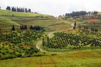 Un fort potentiel à valoriser