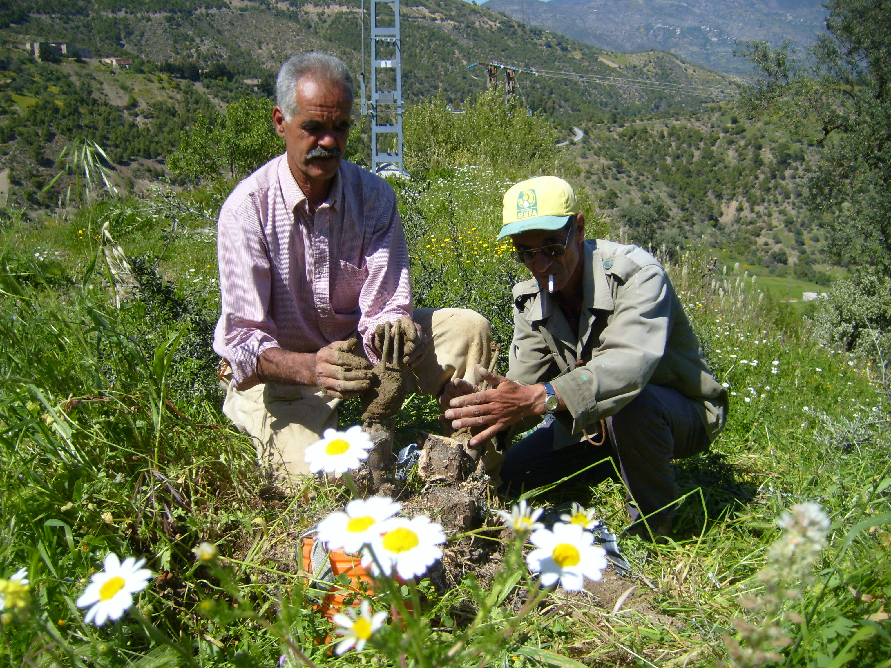 Chérif et Mokhtar, unis et dévoués
