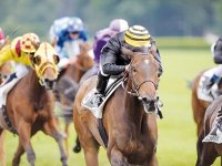 Double Cagnotte en jeu Les courses à Tiaret