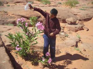L'education à L'environnement
