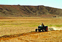 Quel sort pour les terres  inexploitées '