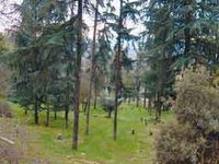 L'industrie forestière, un gisement inexploité