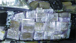 12 tonnes de drogue saisies en 48 heures Alerte au «tsunami» de cannabis