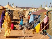 Les Sahraouis déterminés à poursuivre la lutte jusqu'à la libération totale des territoires sahraouis