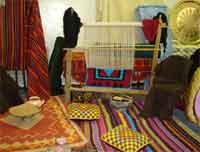 Vers la généralisation des structures d'appui