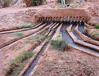 Les foggara de l'oasien sont en danger