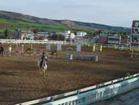 L'association des sports équestres dénonce la situation