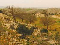 La lutte pour la survie