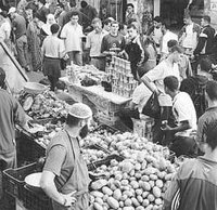 Rue des Aurès (ex-la bastille) : Le dossier de réaménagement remis à l'ordre du jour