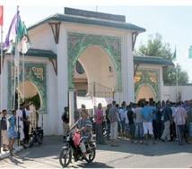 AIN TEMOUCHENT : Sit-in des jeunes recrutés par l'ANEM et la DAS