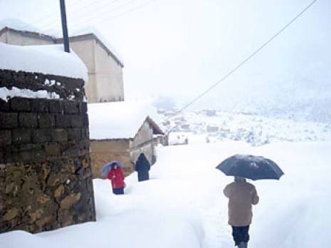 Béjaïa : pas de nouvelles de certains hameaux Economie