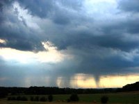 Les récentes perturbations climatiques en Algérie sont 