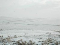 14 personnes décédées en une semaine (Protection civile)