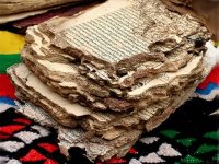 Près de 28.000 manuscrits disparus durant le siècle dernier dans la wilaya d'Adrar