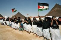 Les étudiants algériens et tunisiens solidaires avec le peuple sahraoui