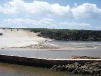 El Kala : La Messida a été emportée