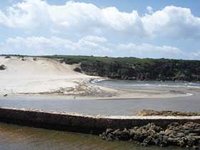 El Kala : La Messida a été emportée