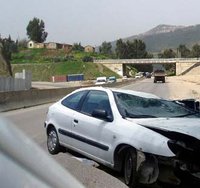 Hécatombe sur les routes