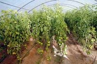 L'inquiétude des agriculteurs