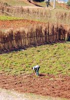 Renforcer les filières stratégiques