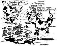 Décharges sauvages et saccage du patrimoine forestier