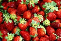 Skikda couleur fraise