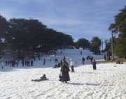 Batna Neige : une aubaine pour les patineurs