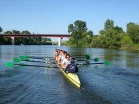 Le club Aviron Oranais s'illustre au Cross des rameurs