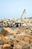 « Le site ne présente pas d'intérêt écologique »